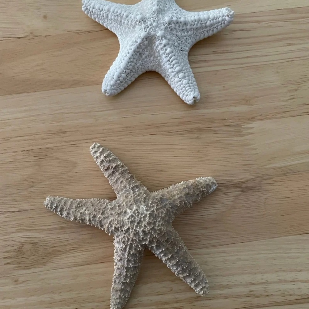 Decorative 2 Starfish Beach Set